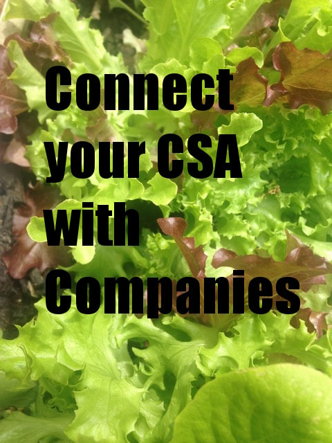 Connect CSa's with Companies